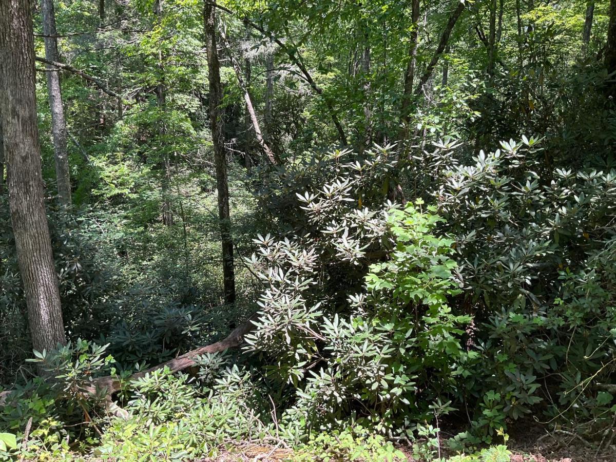 Tallulah Gorge Retreat Lakemont Esterno foto
