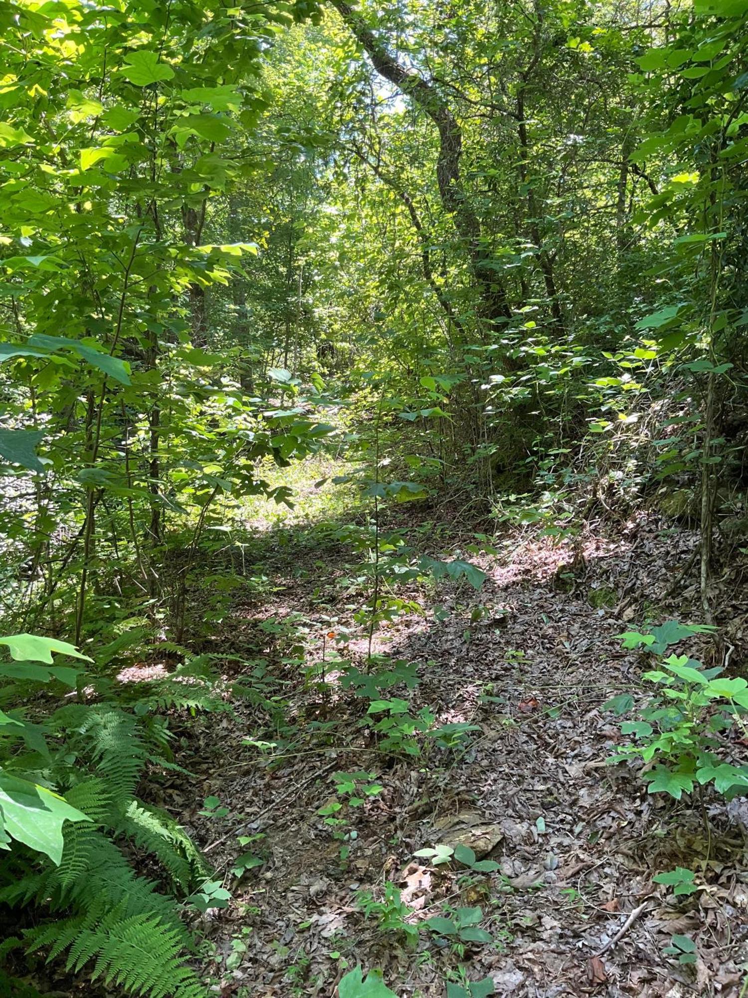 Tallulah Gorge Retreat Lakemont Esterno foto